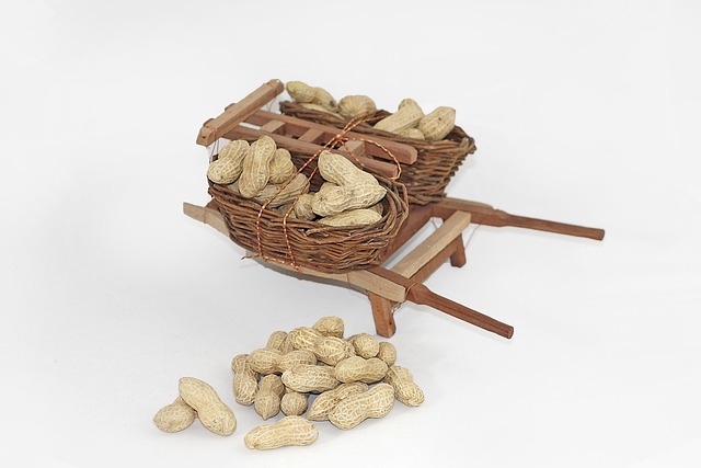 Peanut Dry Fruit 花生 - Pixabay上的免费照片