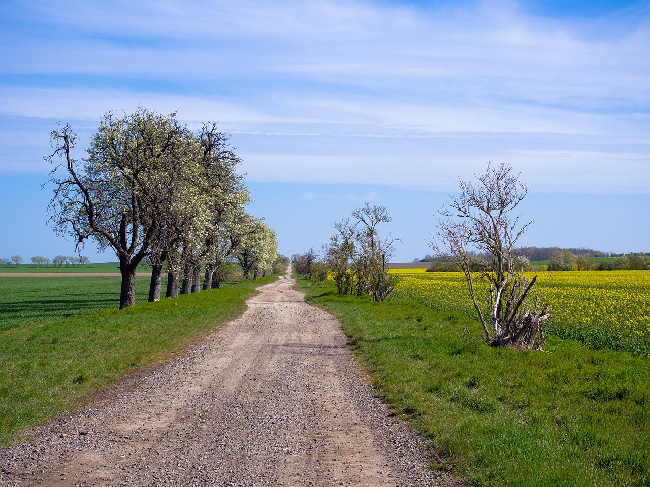 Landschaft Sachsen-Anhalt - Kostenloses Foto auf Pixabay