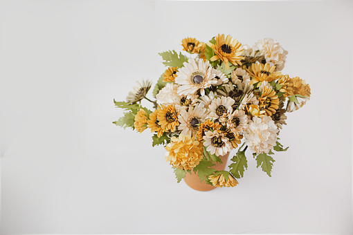 Tusindfryd, Blomst Baggrund
