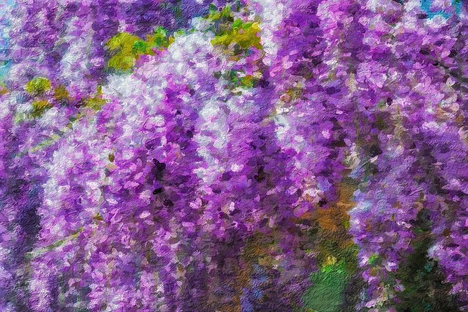Oil Painting On Canvas Lilacs Free image on Pixabay