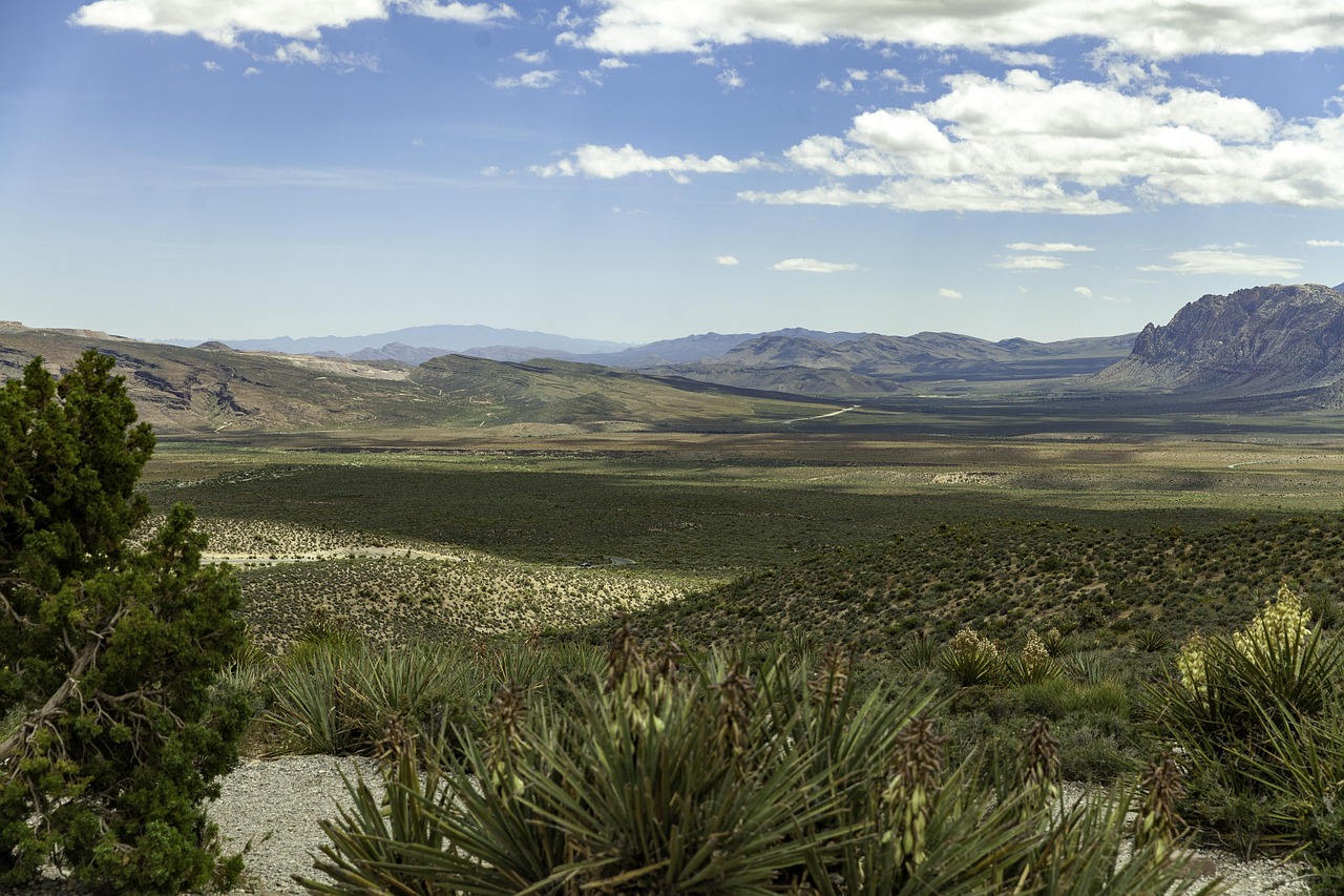 Red Rock Canyon Nevada Landschaft - Red Rock Canyon 5078379 1280 