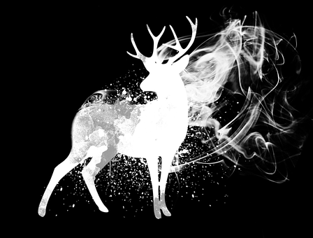 Free Stag Dear illustration and picture