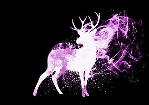 Free Stag Dear illustration and picture