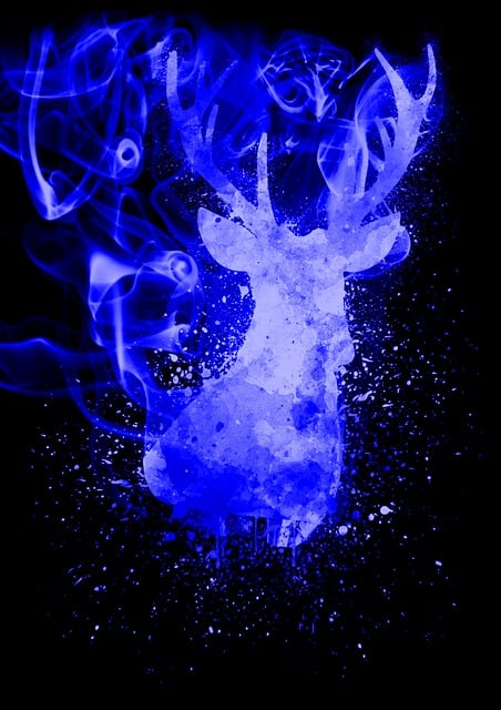 Free Stag Dear illustration and picture