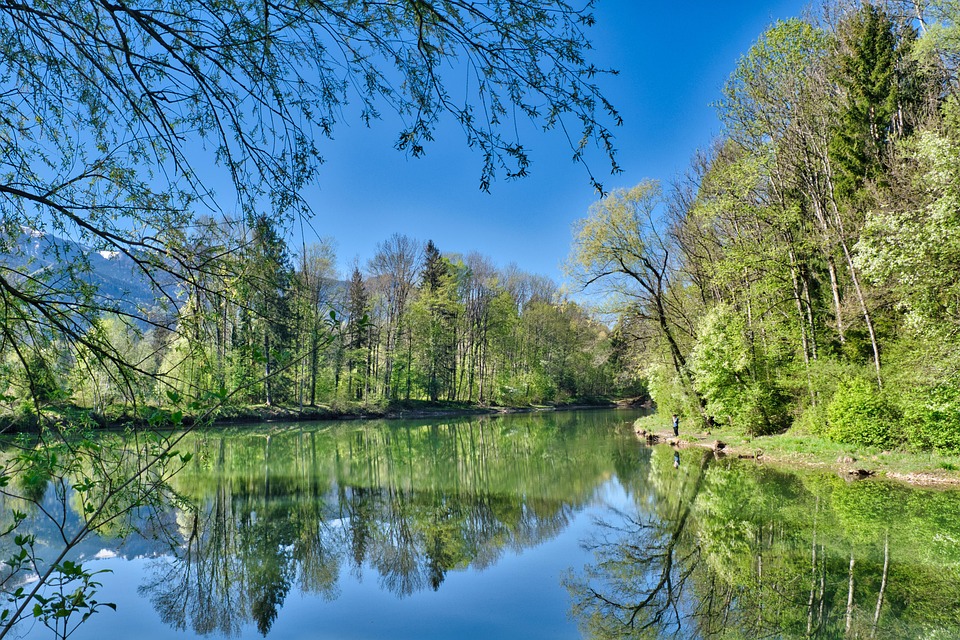 Waters Lake Spring - Free photo on Pixabay - Pixabay