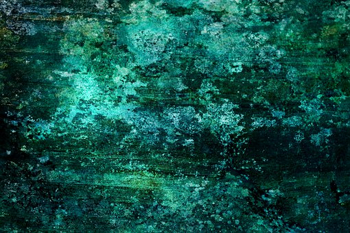 Free Mossy Moss illustration and picture