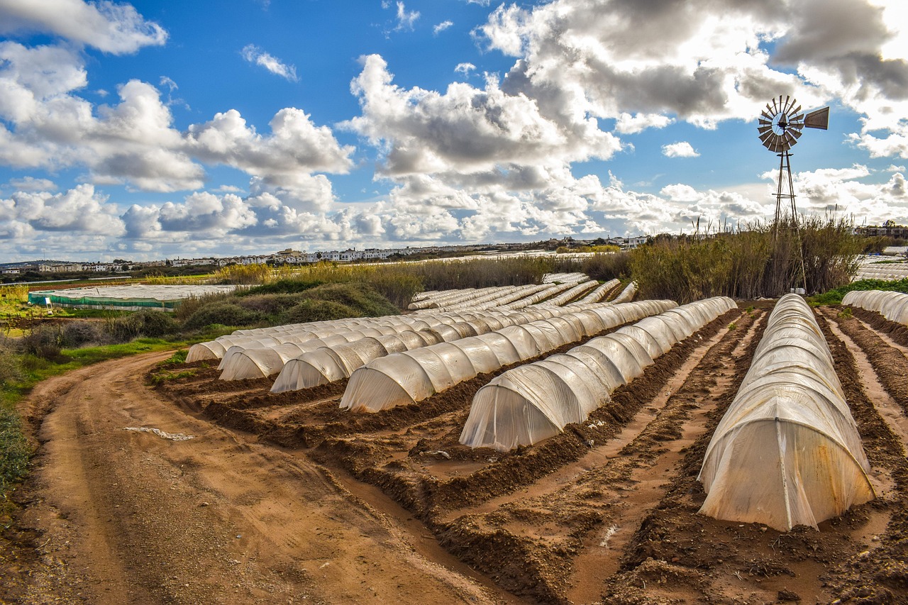 Agriculture - free online jigsaw puzzle photo