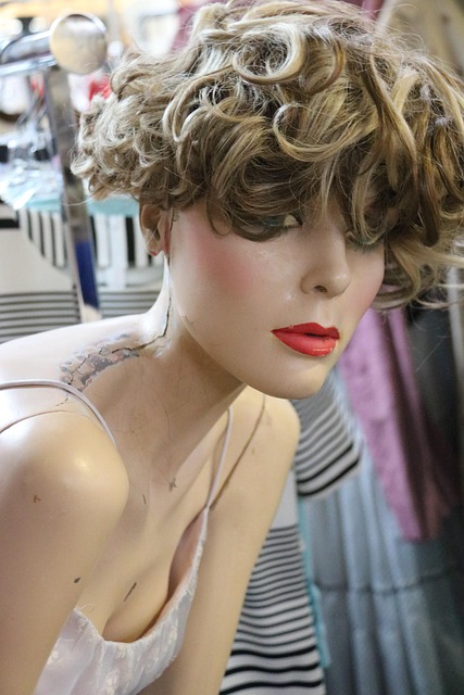 Manequim, Fêmea, Mulher, Modelo, Vestir