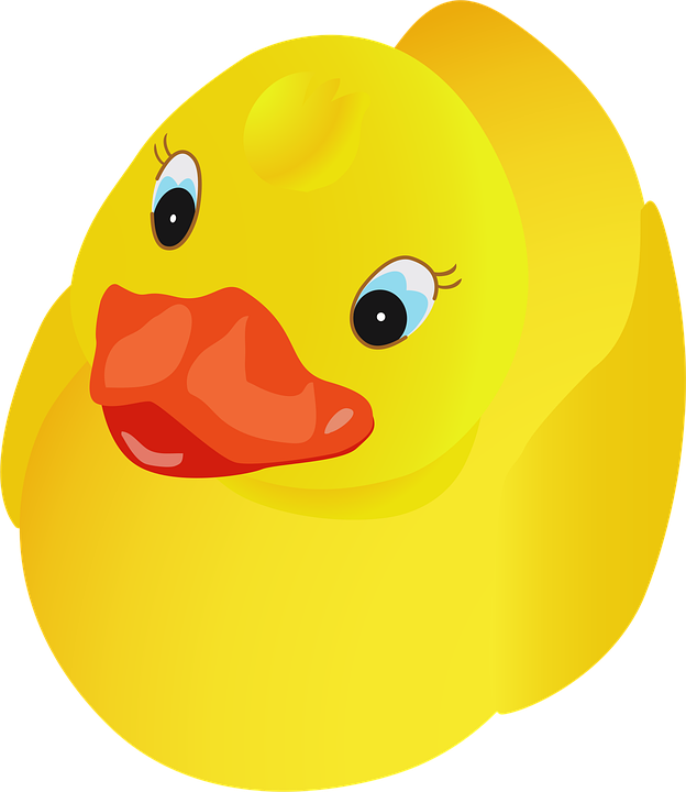 Pato Passaro Animal Amarelo Grafico Vetorial Gratis No Pixabay