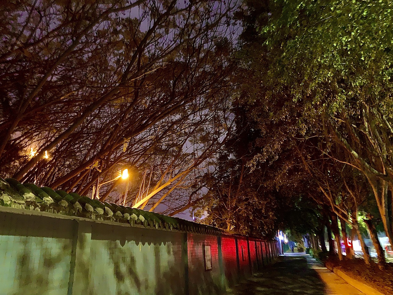 夜晚 小路 树 - ภาพฟรีบน Pixabay - Pixabay