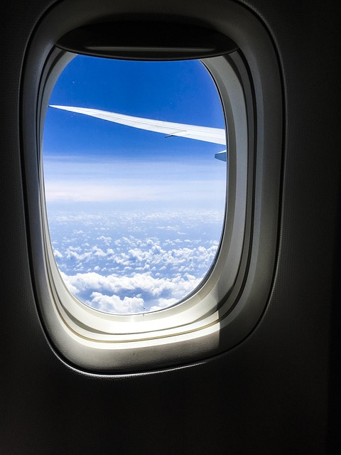 Free Airplane Wing photo and picture