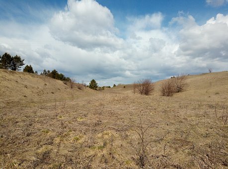 Free Field Pit photo and picture