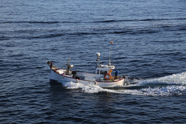 Free Sea Fishing Boat photo and picture