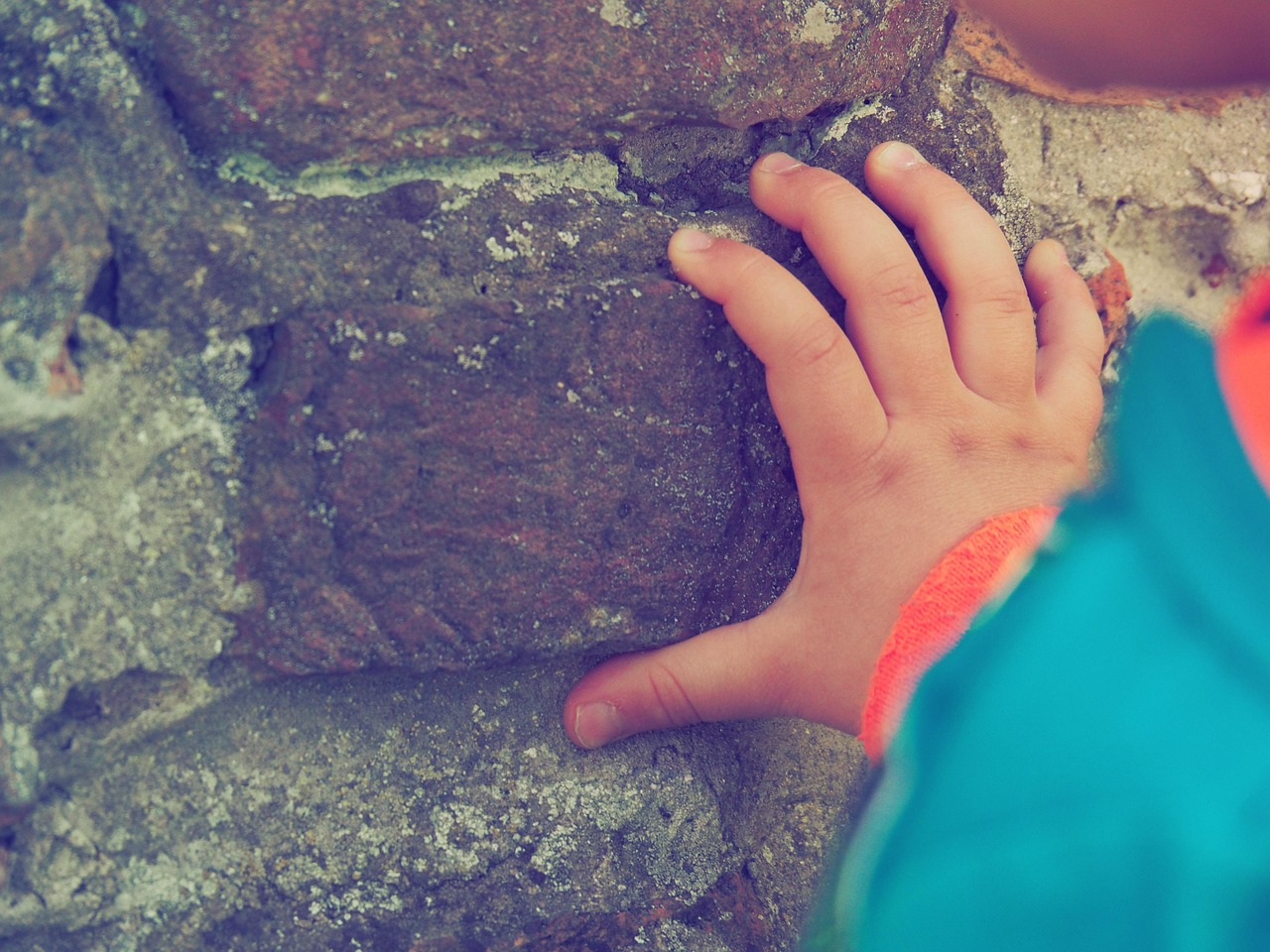 Climbing Brick Wall Free photo on Pixabay Pixabay