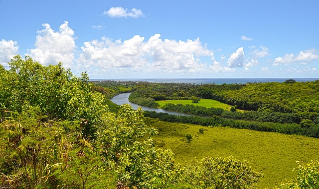 Free Hawaii Landscape photo and picture