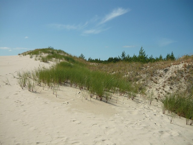 Free Sea Dune photo and picture