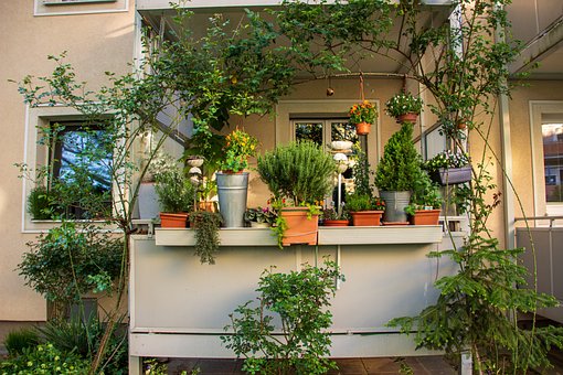 Blumen, Balkon, Geranie, Pflanze, Sommer