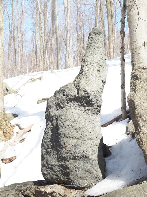 Free Pierre Nature photo and picture