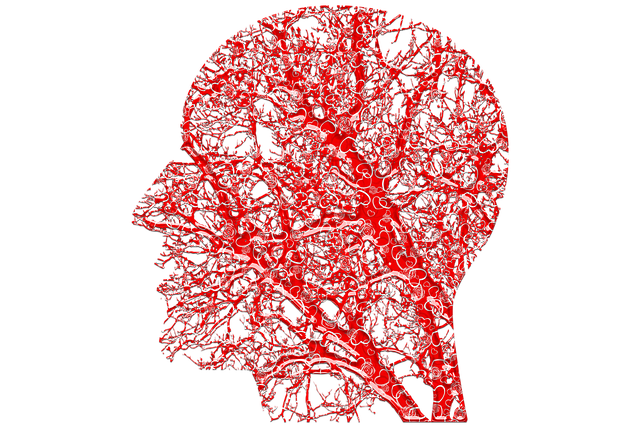 Free double exposure unknown human head illustration