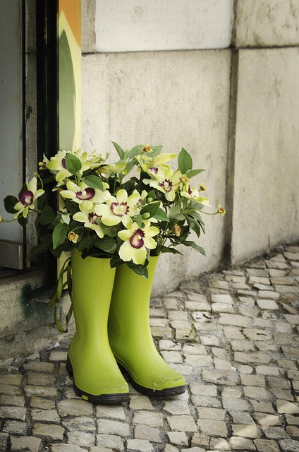 Free Flower Street photo and picture
