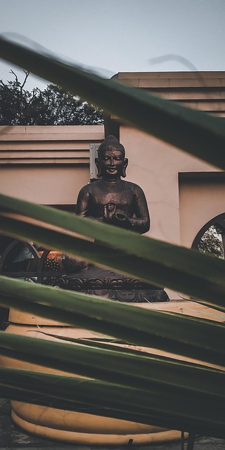 Free Nature Buddha Statue photo and picture