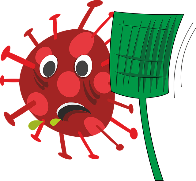 Free corona virus coronavirus vector