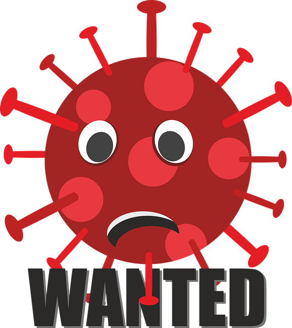 Free Corona Virus vector and picture