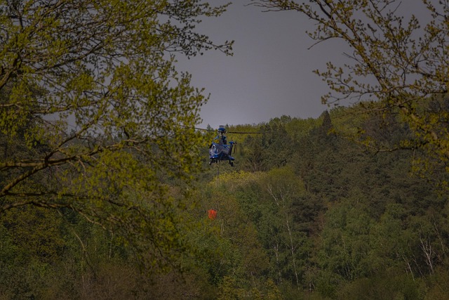 Free Fire Blushelicopter photo and picture