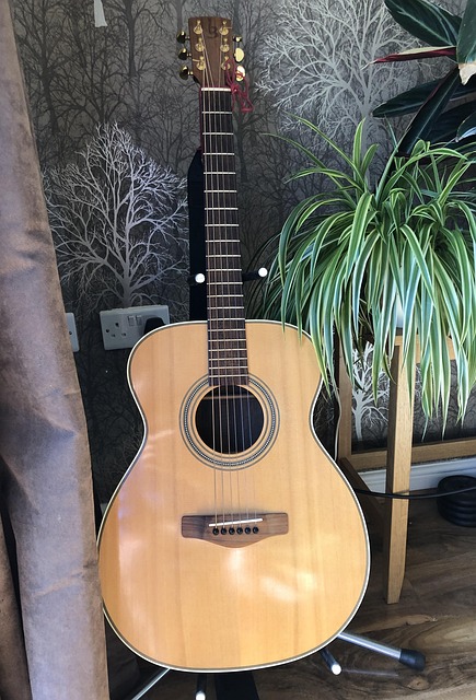 Free Orchestra Model Acoustic photo and picture