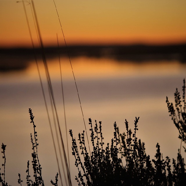 Free Sunrise Sea photo and picture