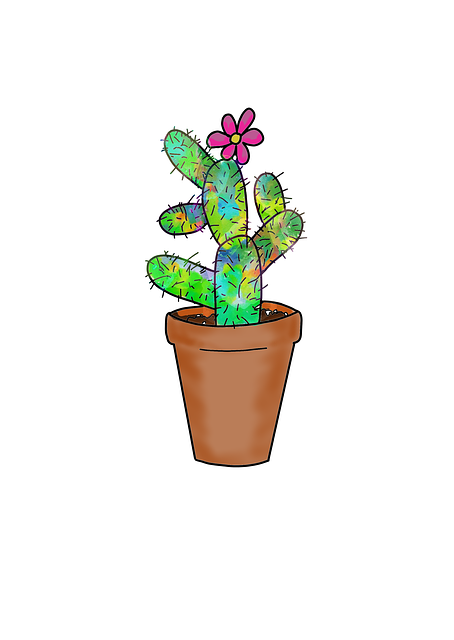 Cactus, Floare, Suculent, Natura, Verde