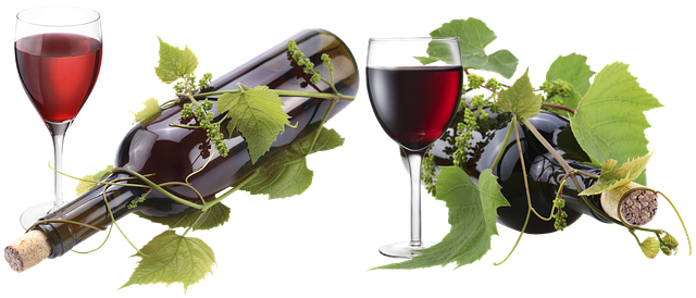Free a glass of wine bottle wine glass illustration