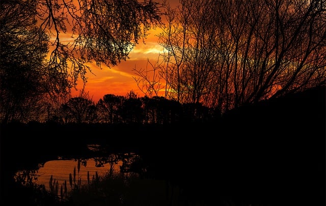 Sonnenuntergang, Wald, Landschaft, Natur