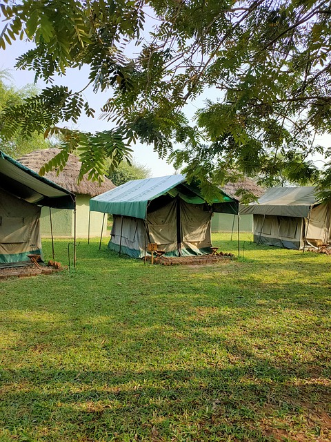 Free Uganda Safari photo and picture