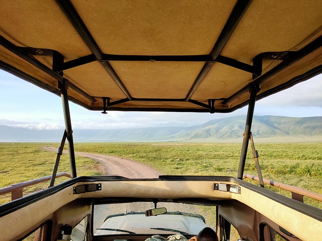 Free Safari Vehicle photo and picture