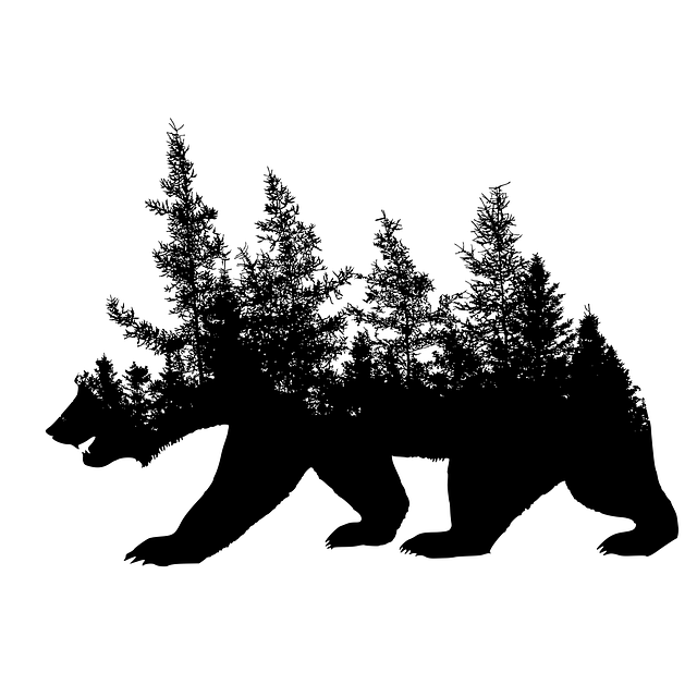 Bär, Wald, Natur, Abenteuer, Bäume