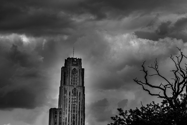 Free Black And White Cathedral photo and picture