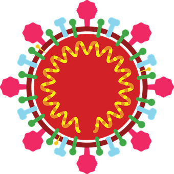 Coronavirus-Struktur, Roman, Corona