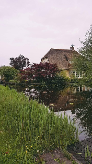 Free Amsterdam Nature photo and picture