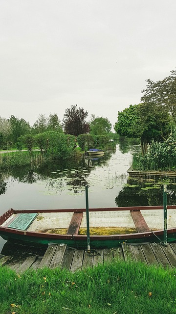 Free Amsterdam Nature photo and picture