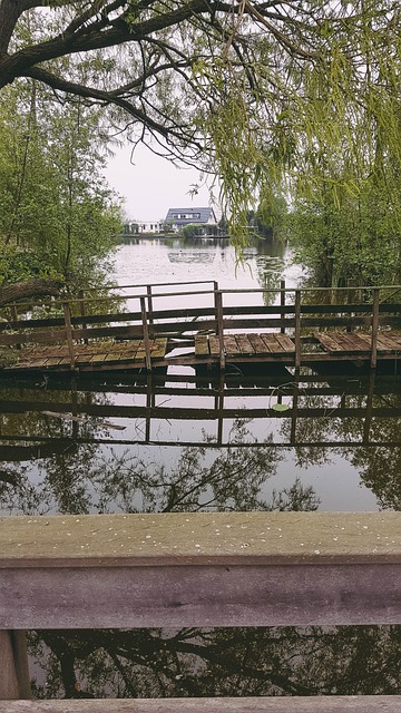Free Amsterdam Nature photo and picture