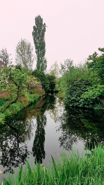 Free Amsterdam Nature photo and picture