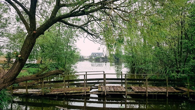 Free Amsterdam Nature photo and picture
