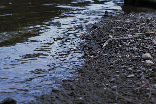 Fluss, Dunkel, Wasser, Stimmung