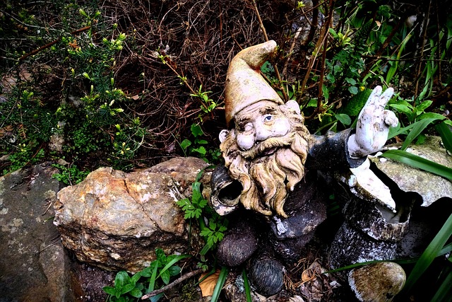Free Garden Gnome photo and picture