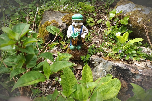 Free Gnome Garden photo and picture