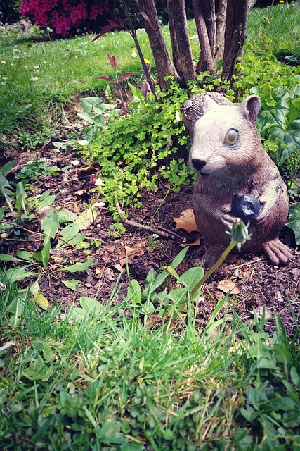 Free Squirrel Garden photo and picture