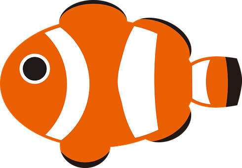 Fische, Tropische Fische, Clarks Anemone