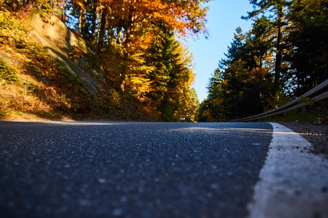 Free Way Autumn photo and picture