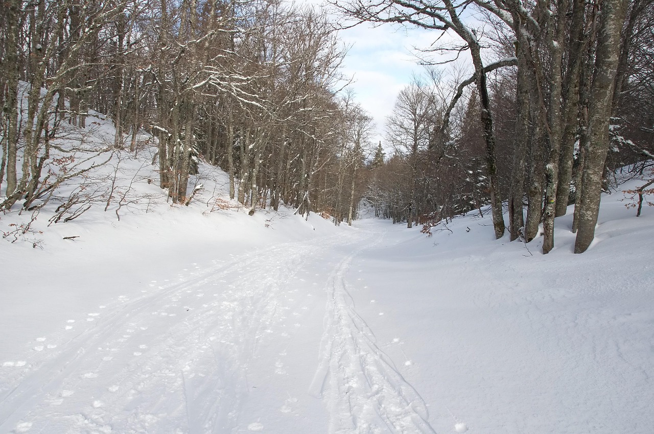 色 冬 雪 - Pixabayの無料写真 - Pixabay